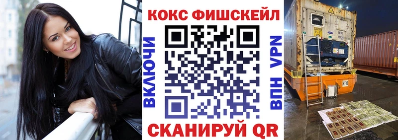 где можно купить   Каргат  Cocaine VHQ 
