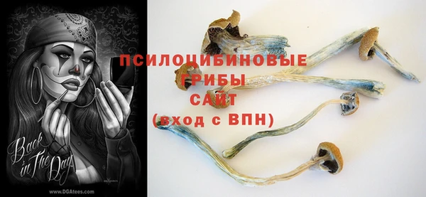 винт Бабаево