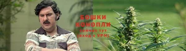 прущие крисы Надым