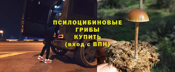 прущие крисы Надым